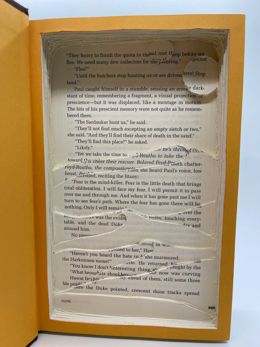 Dune Book Carving